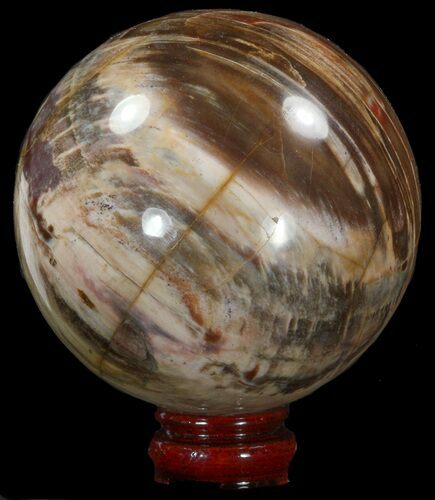 Colorful Petrified Wood Sphere #41958